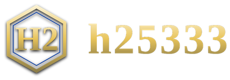 h25333 โลโก้
